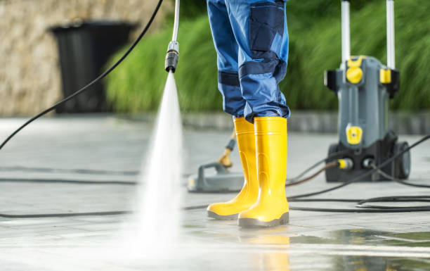 Best Affordable Pressure Washing  in Porter, IN